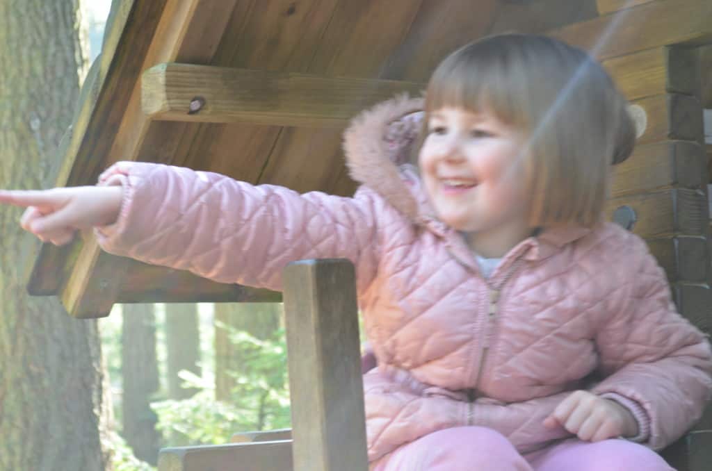 Play Area
