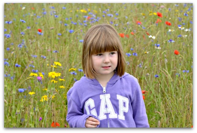 wild flowers 1