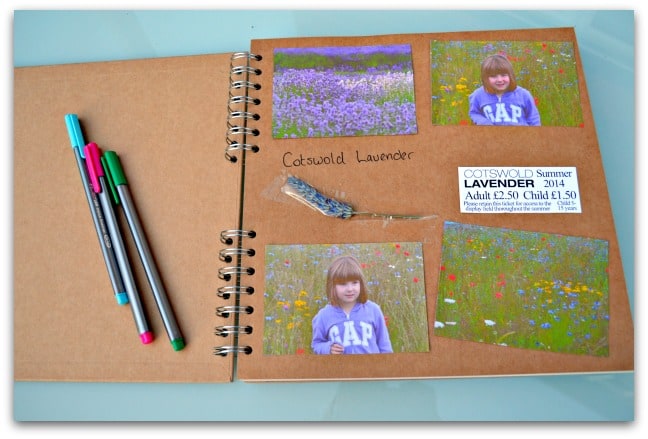 pages from summer journal
