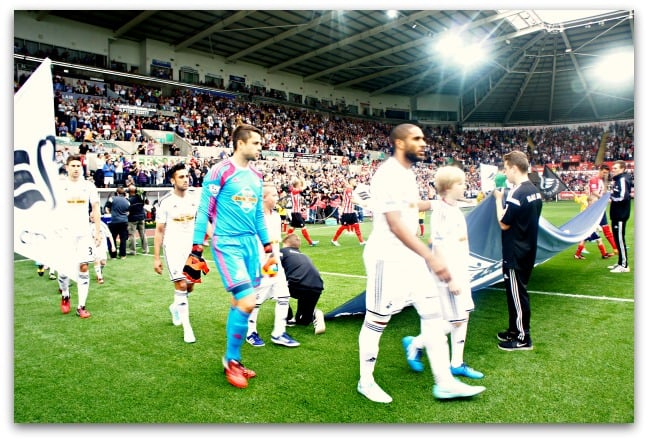 Swansea City Mascot Day