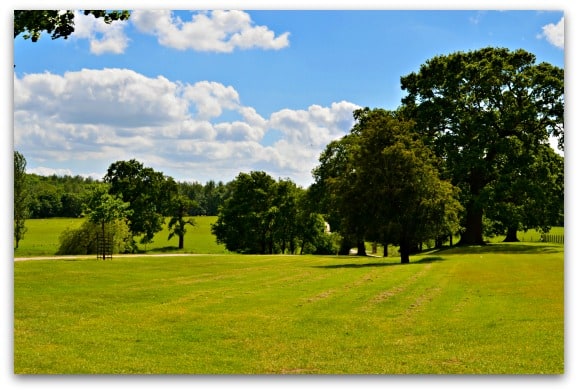 Beautiful backdrop at Ragley Hall
