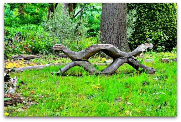 Interesting things to see at Ragley Hall