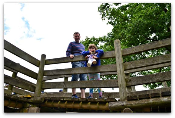 The Maze at Ragley Hall