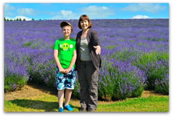 Snowshill Lavender, Worcestershire