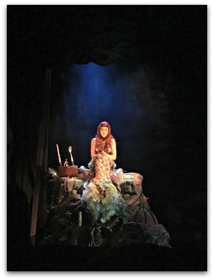 Voyage of the Little Mermaid