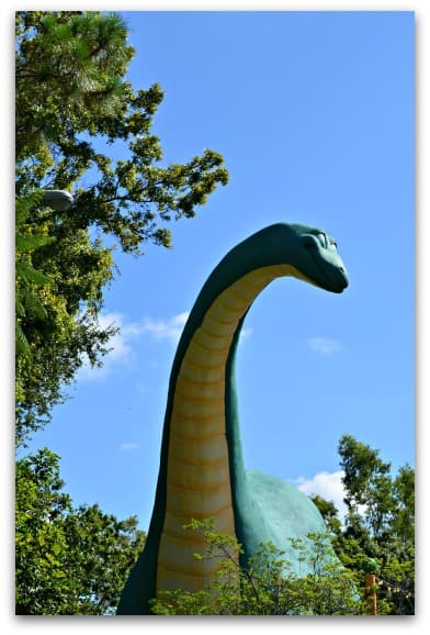 seeing-the-sights-at-magic-kingdom