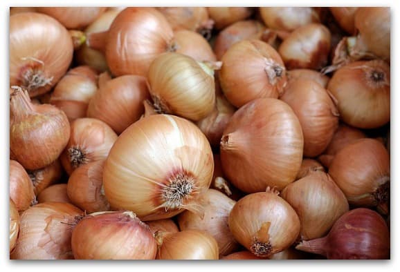 onion