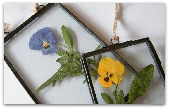 Wonderful Dried Flower Crafts for Kids-2
