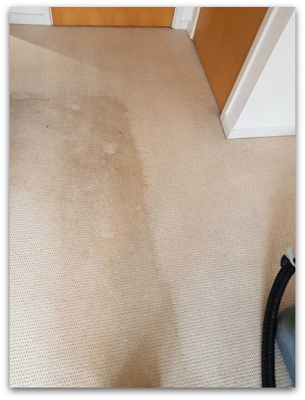 How Can You Prepare your Carpet for Professional Cleaning
