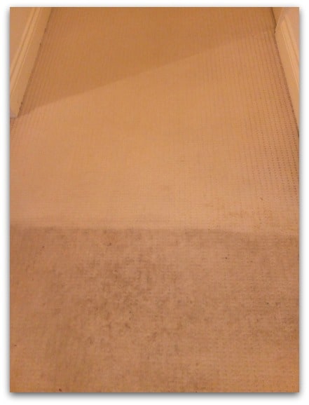 How Can You Prepare your Carpet for Professional Cleaning