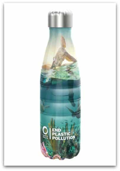 The Sunset Surfer Ion8 Friends of the Earth 500ml Insulated Bottle