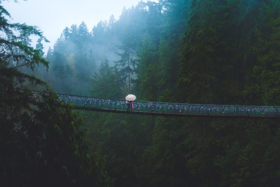 Capilano Suspension Bridge Canada (1)