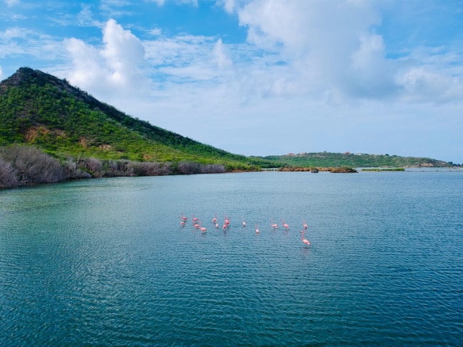 Why Should You Choose a Sandals Resort for a Curacao Honeymoon