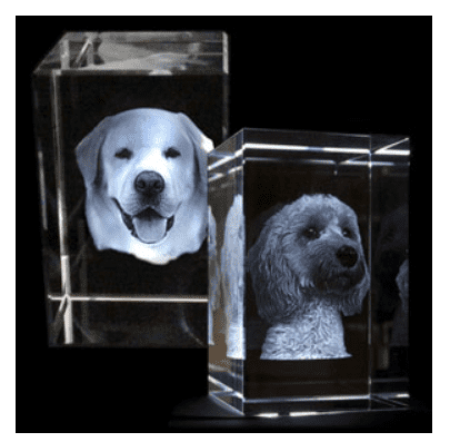 DforDog.co.uk Photo Engraved Block
