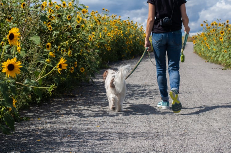 10 ways to destress a stressy mum 2