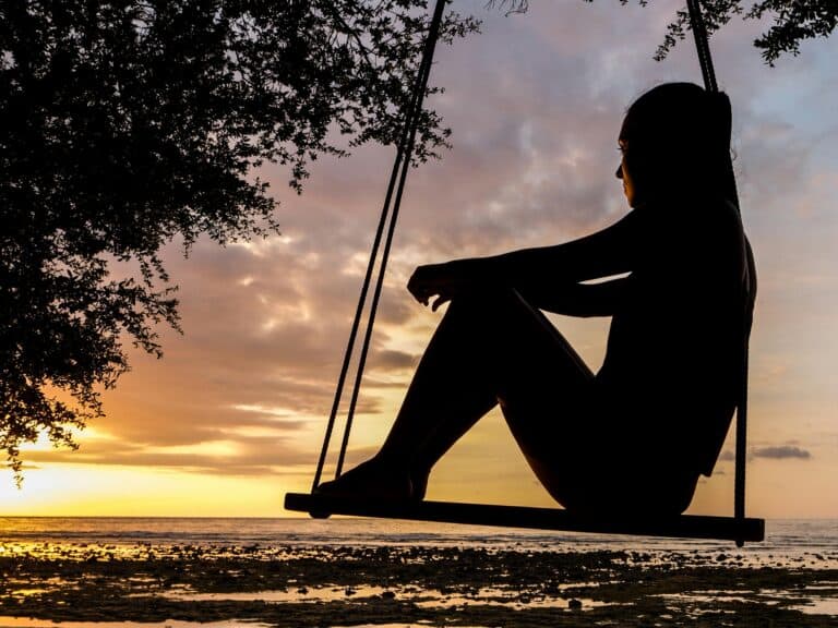 Silhouette of a person on a swing beneath a tree at sunset