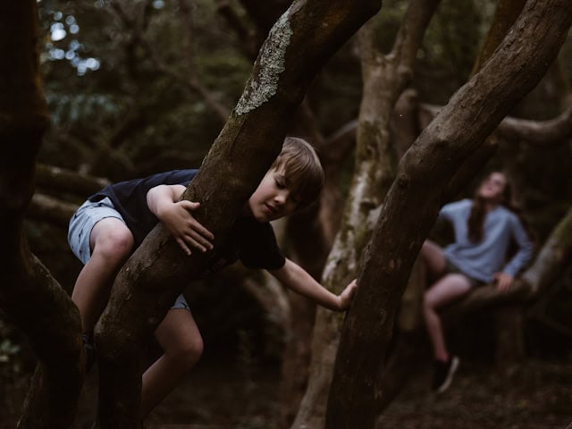 Dark photo showing two children playing amongst tree trunks