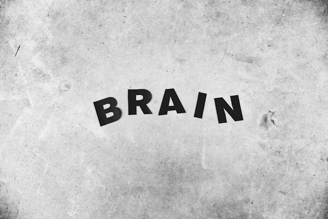 Five Nootropics Researchers Are Interested In For Improving Memory